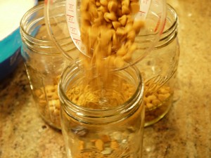 Pouring Butterscotch Chips - Oatmeal Scotchies Cookies in a Jar